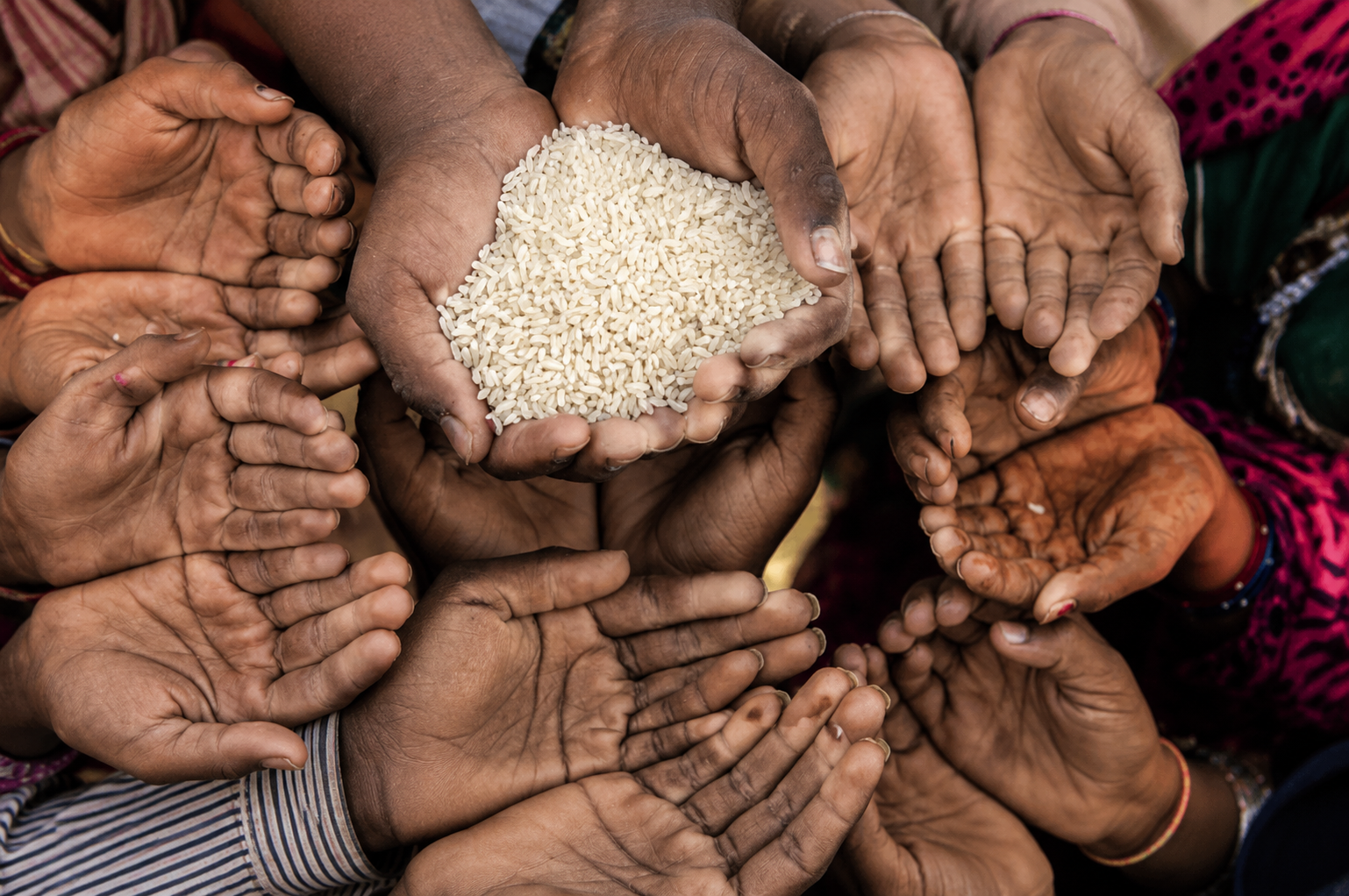 Food Security